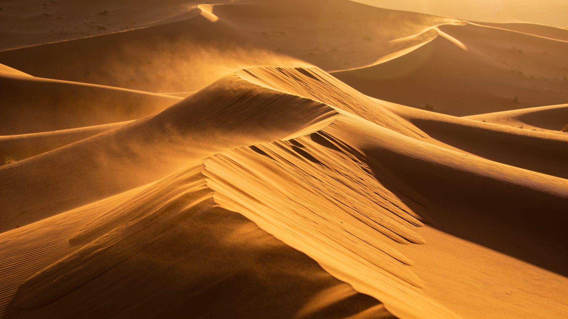 Golden Sahara dunes at sunrise near Merzouga